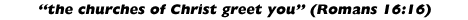 The churches of Christ greet you