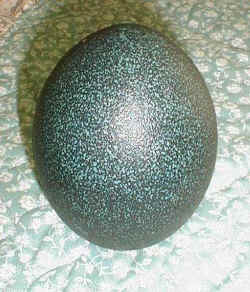 Egg-EMU-Blank