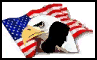 Honoring and supporting our troops. P
raying for their safe return.