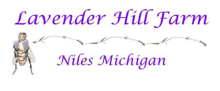 Lavender Hill Farm Web Page Title