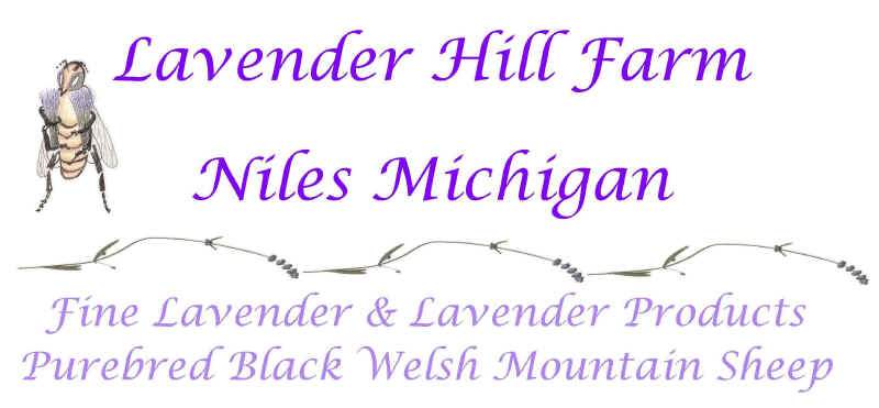 Lavender Hill Farm Home Page Title