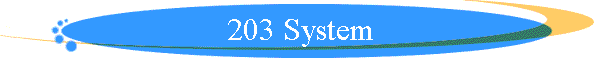 203 System